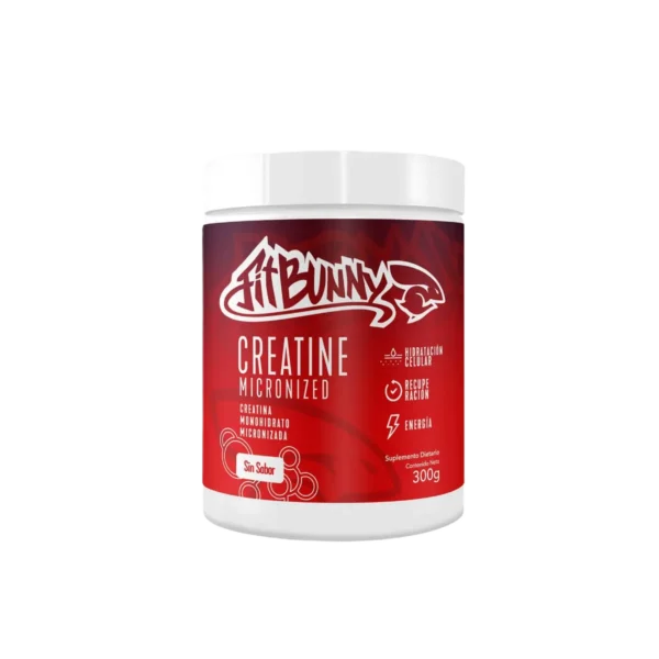 CREATINA FIT BUNNY 300GRS