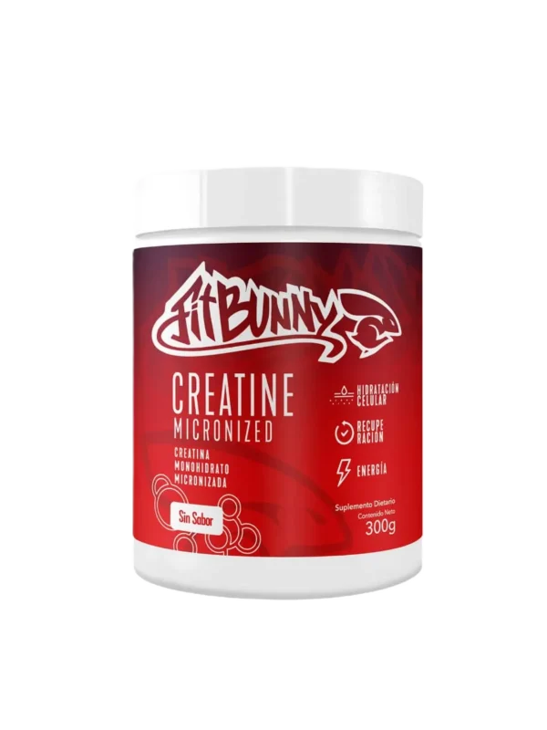 FIT-001 CREATINA FIT BUNNY 300GRS